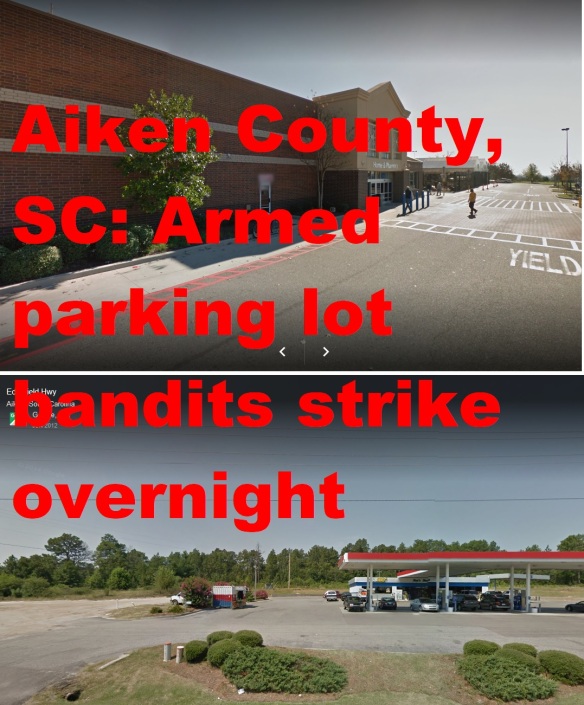 Parking Lot bandits Aiken County 11-22-17.jpg